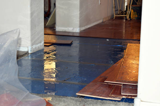 Professional Flood Damage Repair technician working in Henrietta, MO